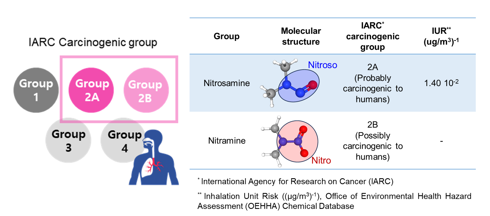 건강 위해성 평가 결과